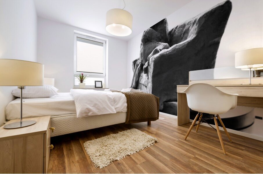 PSX 20250729 154506 Mural print