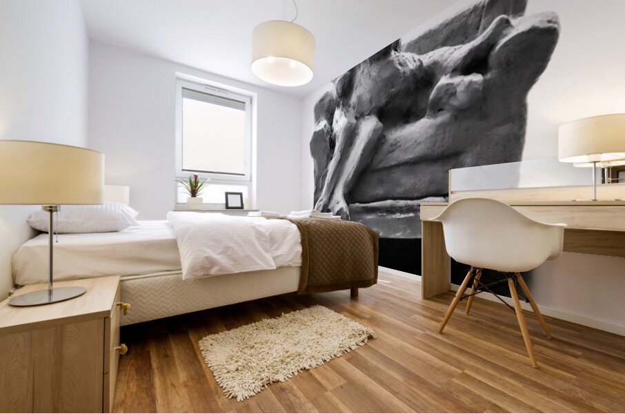 PSX 20250729 154117 Mural print