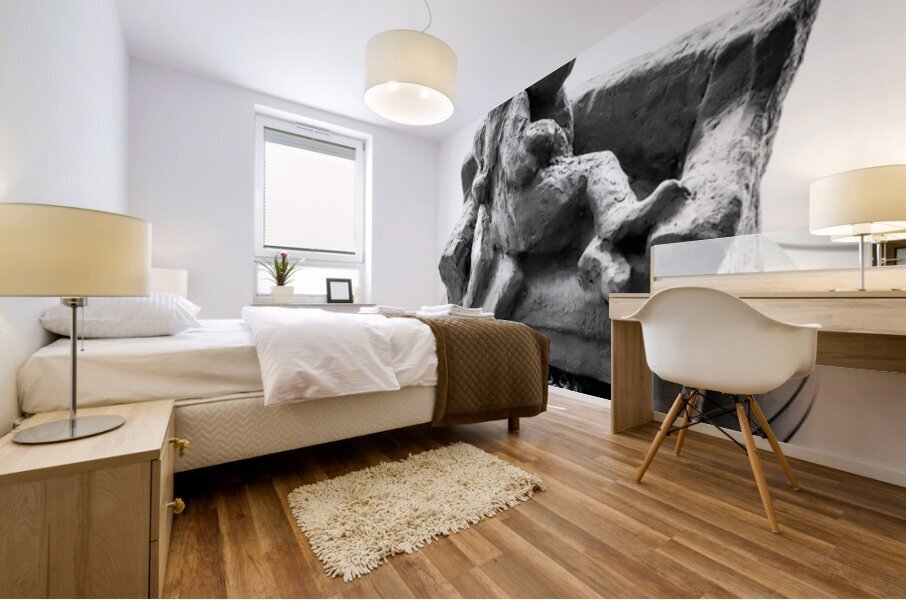 PSX 20250729 160021 Mural print