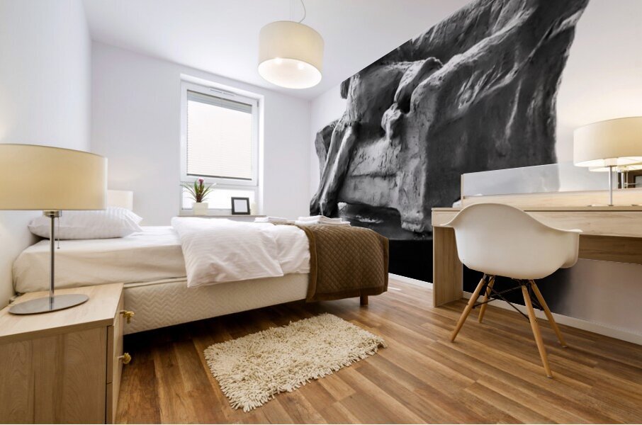 PSX 20250729 154346 Mural print