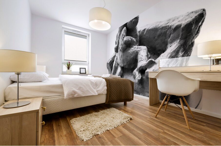 PSX 20250729 160222 Mural print