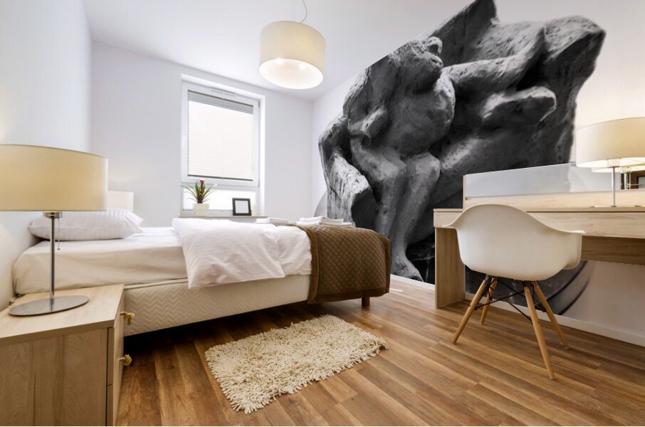 PSX 20250729 155901 Mural print