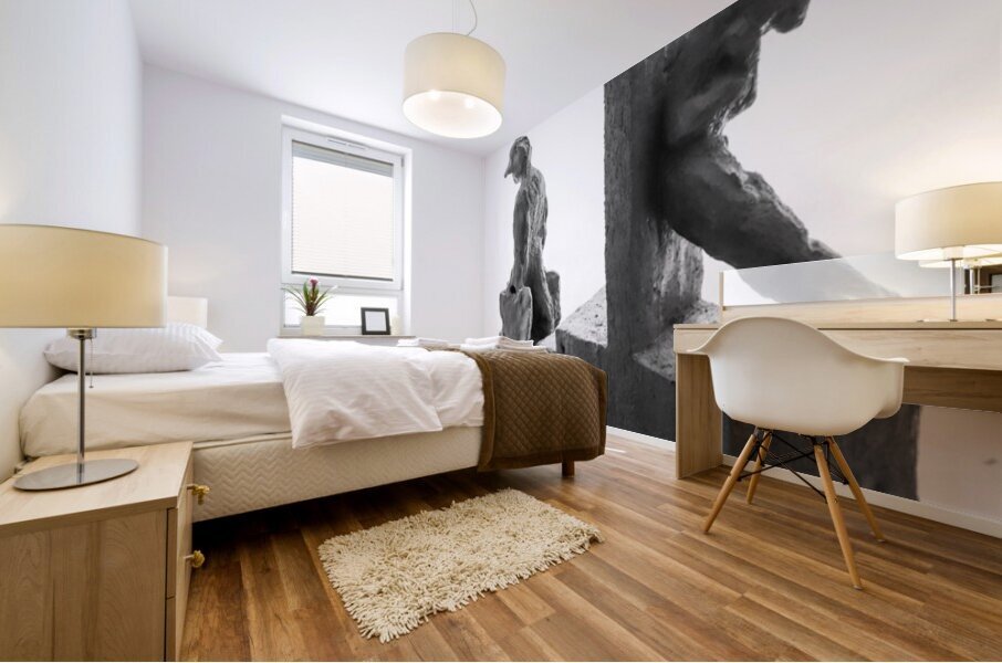 PSX 20250802 175952 Mural print