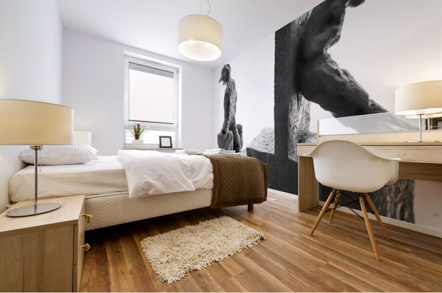 PSX 20250802 182135 Mural print