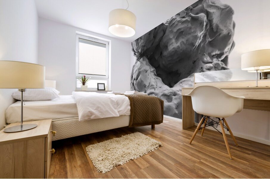 Beloved Companion 1 --- PSX 20250808 180623 Mural print