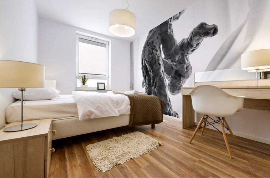 PSX 20250825 121230 Mural print