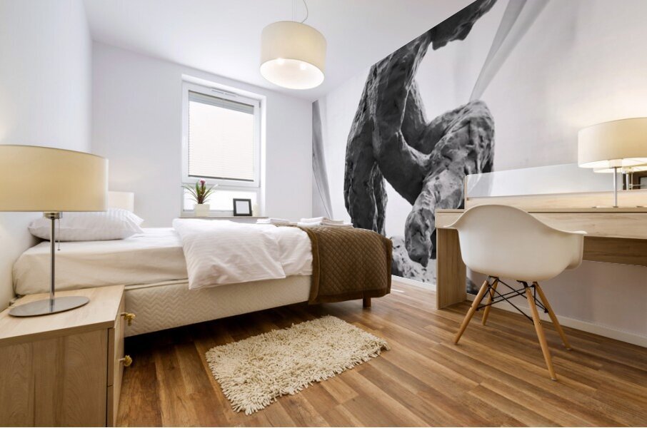 PSX 20250825 120315 Mural print