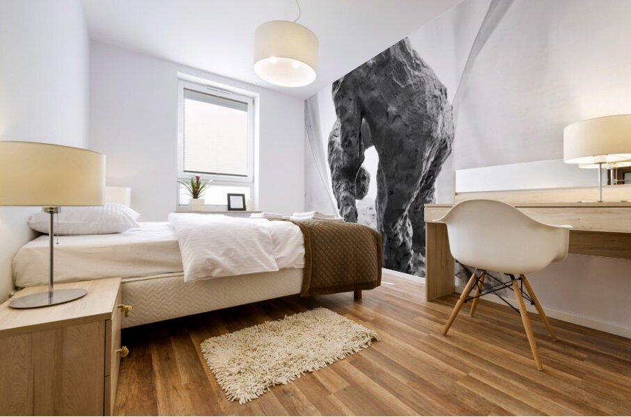 PSX 20250825 120040 Mural print