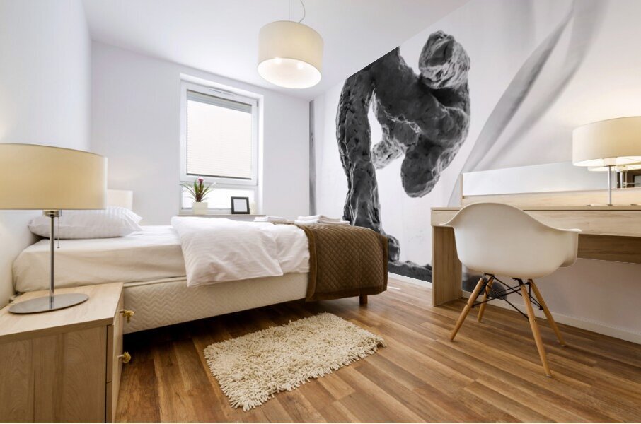 PSX 20250825 121403 Mural print