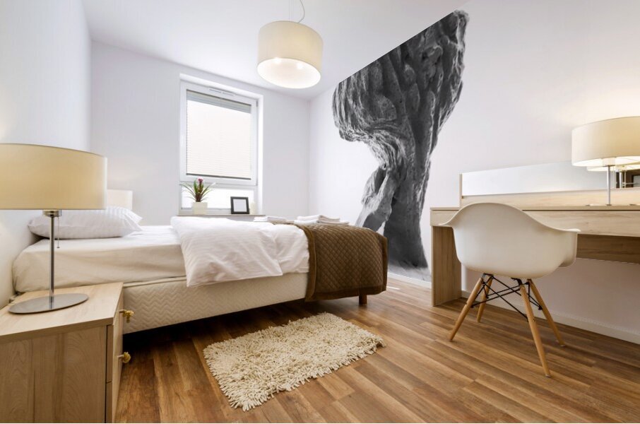 PSX 20250821 144939 Impression murale