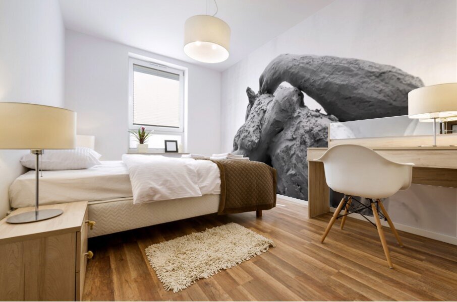 PSX 20250816 122209 Mural print