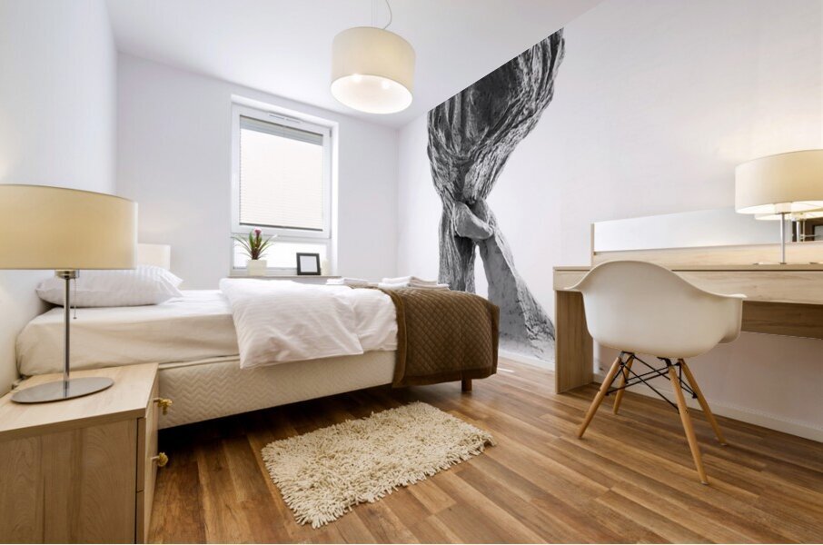 PSX 20250821 144301 Mural print