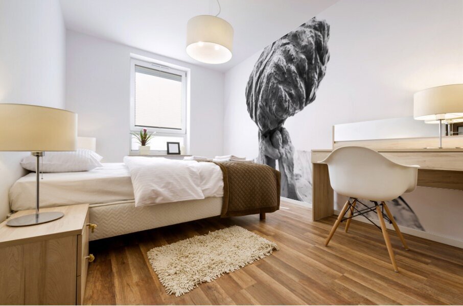 PSX 20250821 151057 Impression murale