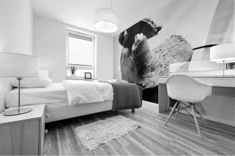 20250915 232353 2 Mural print