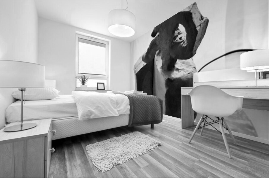 Fools Leap --- 20250915 232227 2 Mural print