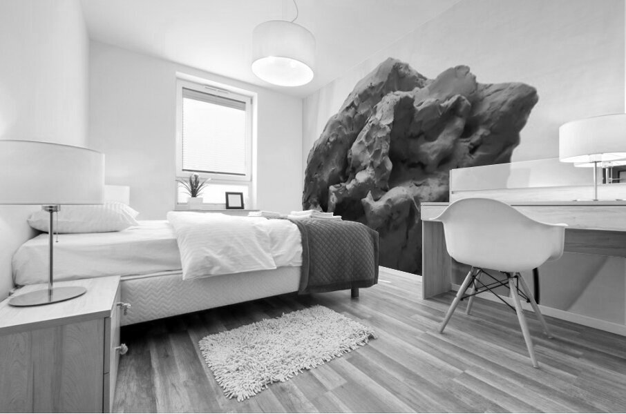 Quiet Mood --- 20251029 074930 2 Mural print