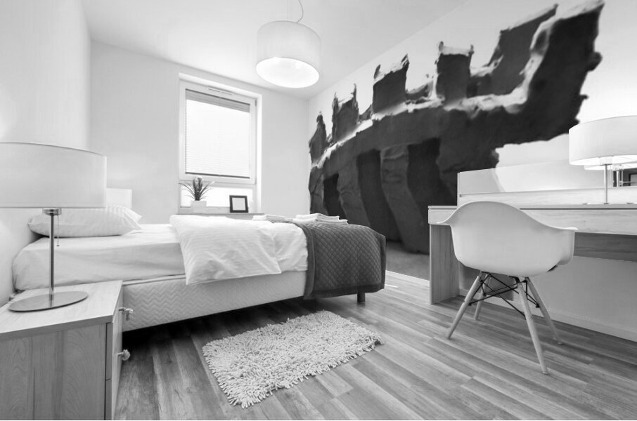 Selva Oscura --- 20251101 224921 2 Mural print