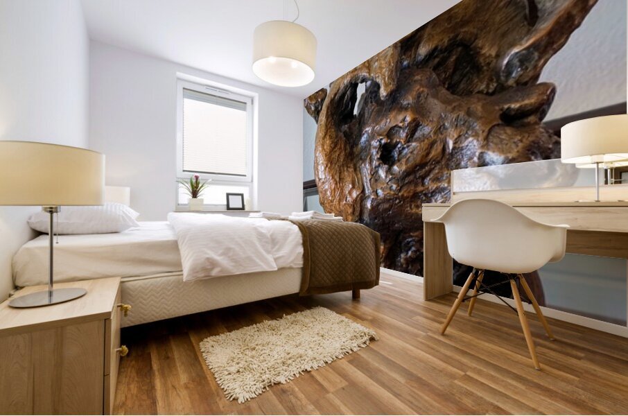 20260614 133254 EDIT Mural print