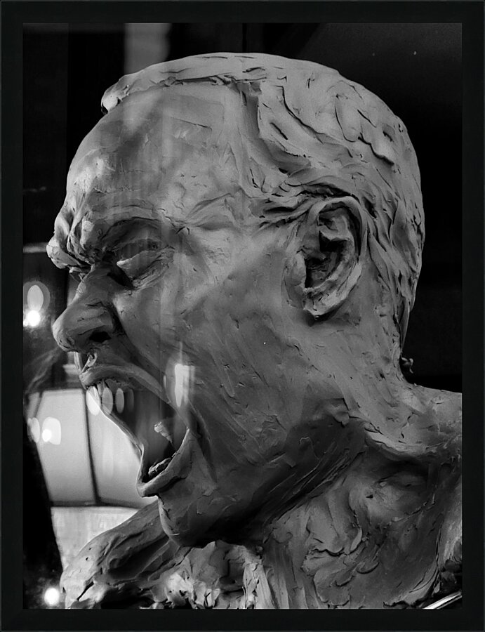 20F1FF 1 Picture Frame print