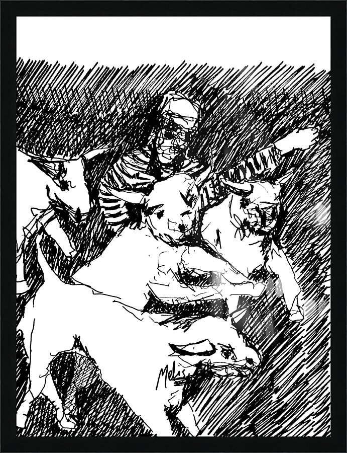 PSX 20240722 175258 Picture Frame print