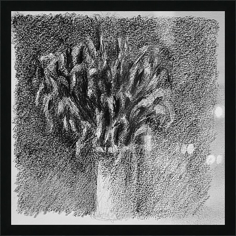 20230716 231718 2   Copy Picture Frame print