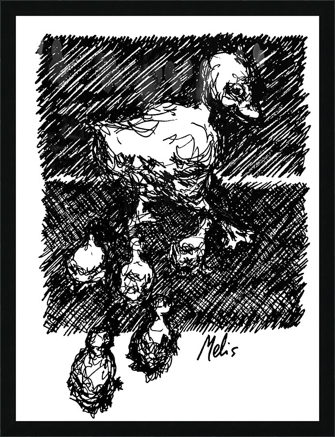 PSX 20240722 181347 Picture Frame print