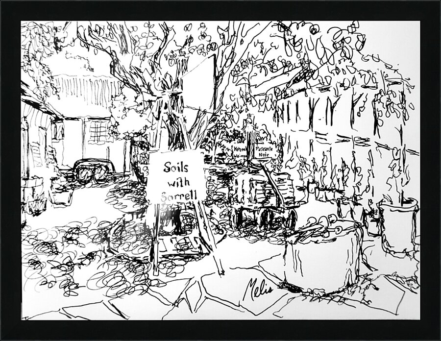 20240511 202804 3 Picture Frame print