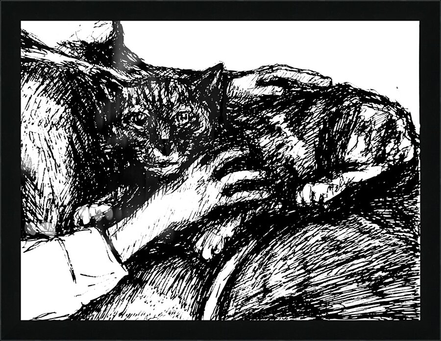 20240307 210517 3 Picture Frame print