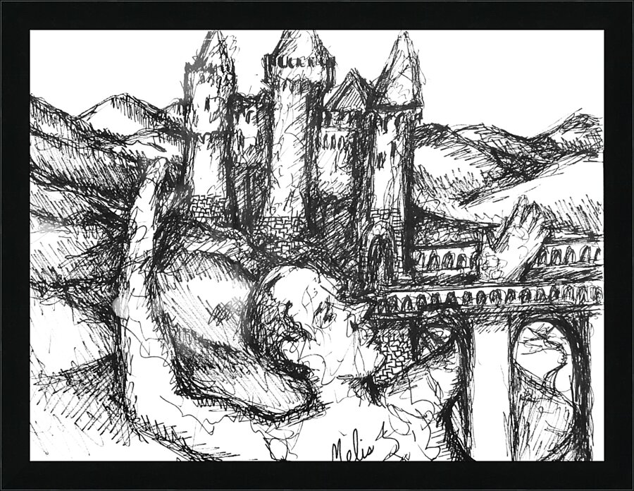 PSX 20240826 195013 Picture Frame print