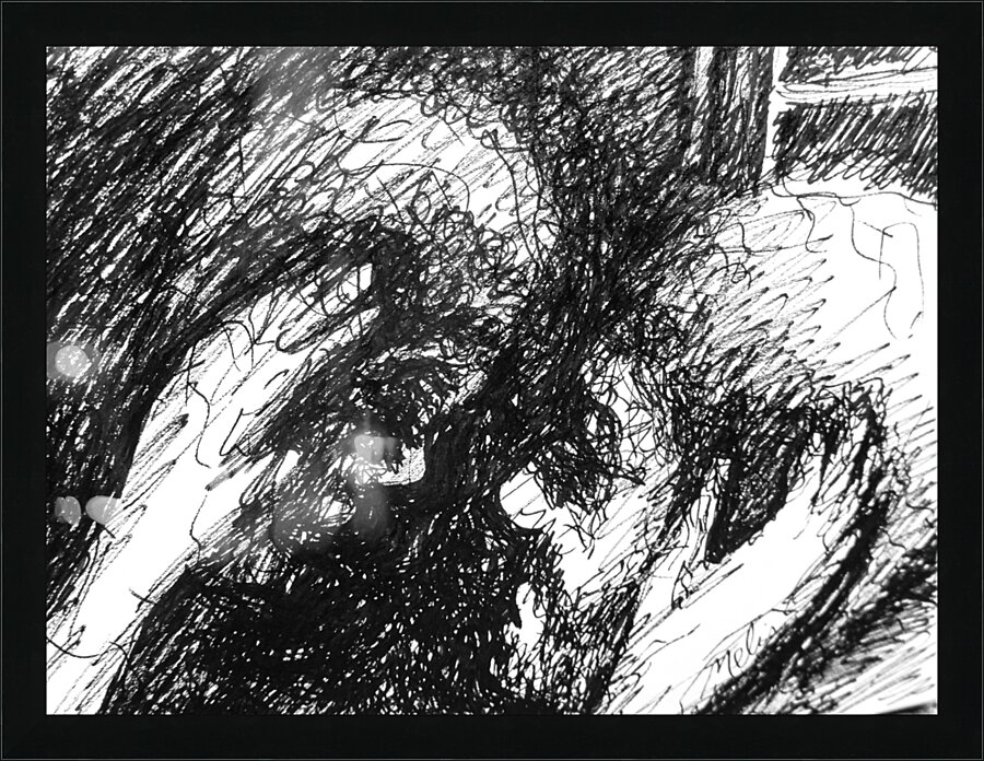 PSX 20241224 180707 Picture Frame print