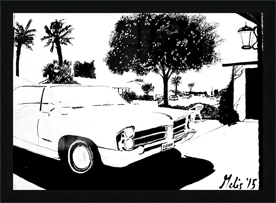 Hooptie - black and white -  PSX 20250302 042229 Picture Frame print
