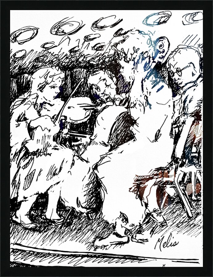 North Valley Symphony Orchestra   PSX 20250308 20 Picture Frame print