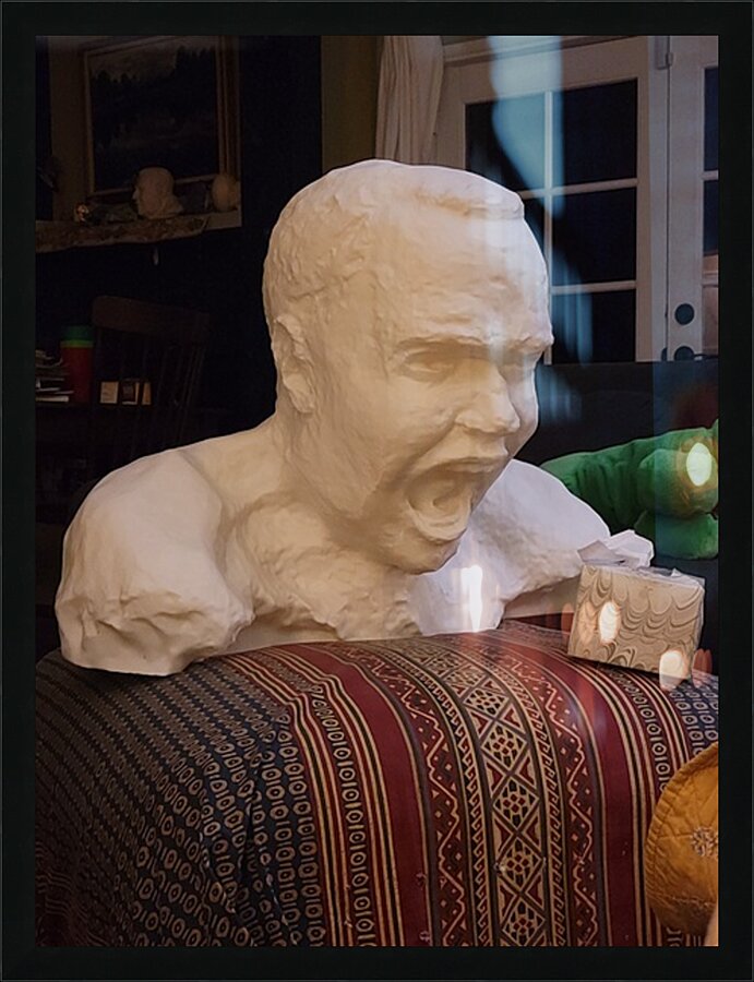 20231206 235031 Picture Frame print