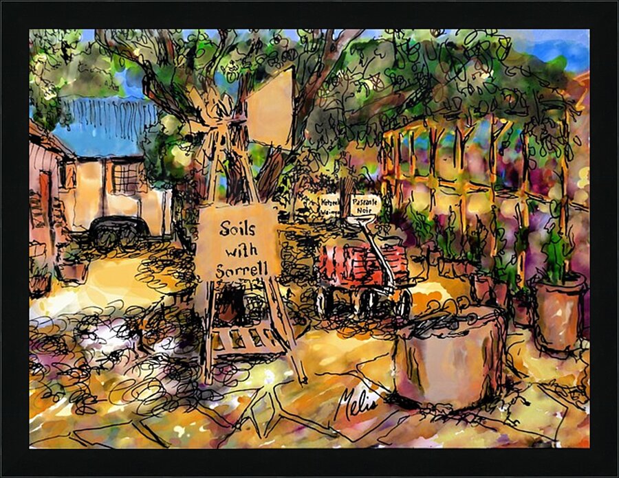 3 by 4 aspect ratio --- original jpg from photo of black and white micron Picture Frame print