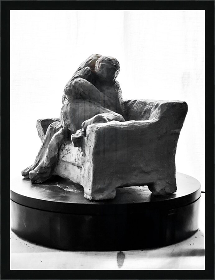 PSX 20250729 154506 Picture Frame print