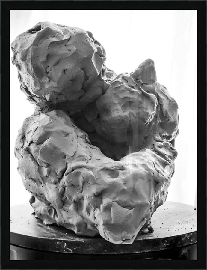 Beloved Companion 1 --- PSX 20250808 180623 Picture Frame print