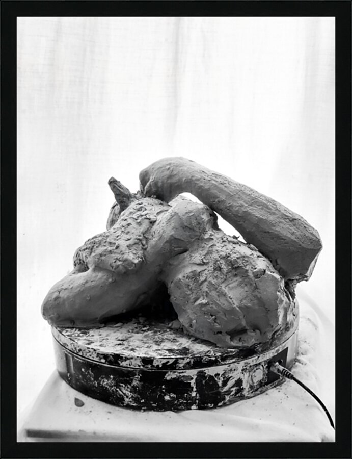 PSX 20250816 122209 Picture Frame print