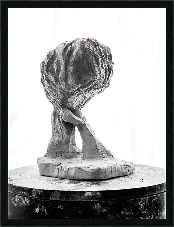 PSX 20250821 144301 Picture Frame print