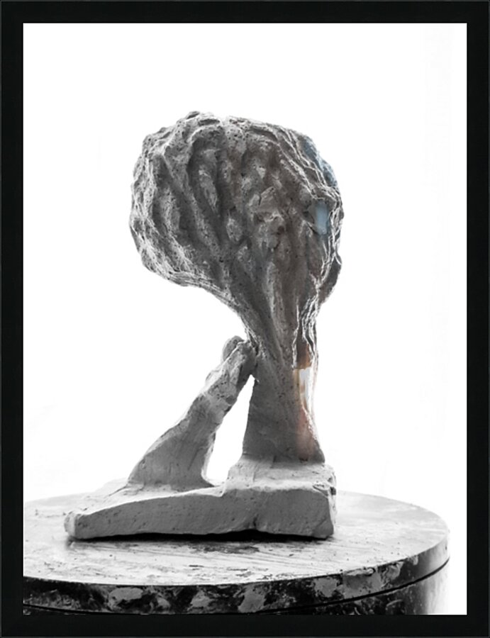 PSX 20250821 144840 Picture Frame print