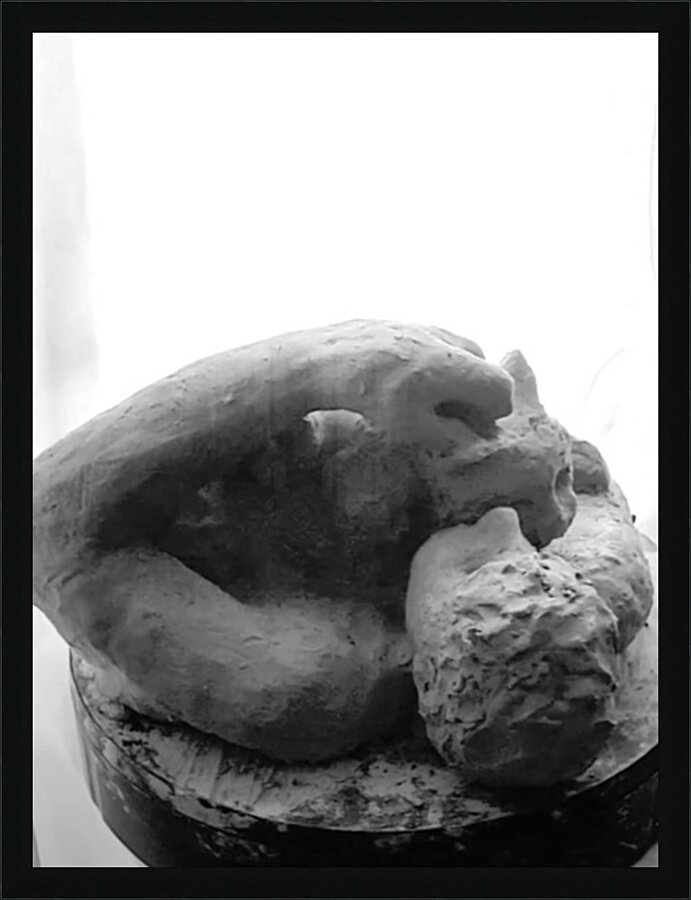 Beloved Companion 2 - 2 Picture Frame print