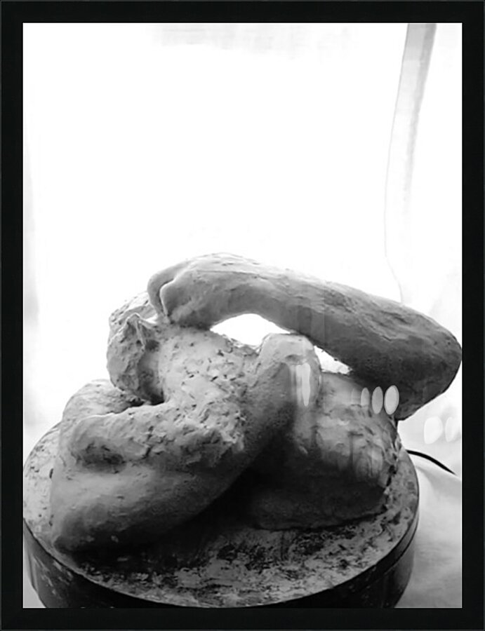 Beloved Companion 2 - 3 Picture Frame print