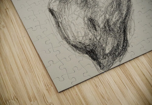 20220707 112037 Marc Melis puzzle