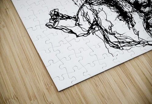 20230702 154729 3   Copy Marc Melis puzzle