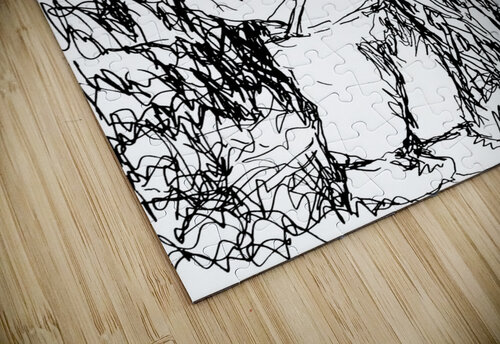 20240314 202814 2 Marc Melis puzzle