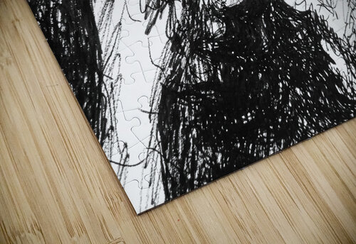 PSX 20241224 180707 Marc Melis puzzle