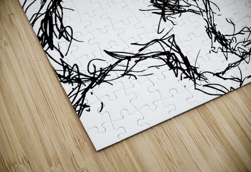 PSX 20241220 033148 Marc Melis puzzle