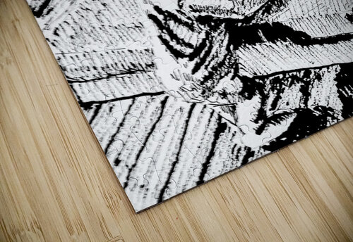 PSX 20250302 165240 Marc Melis puzzle