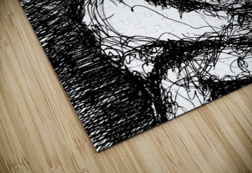 PSX 20250416 002941 Marc Melis puzzle