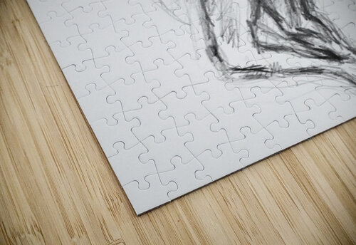 PSX 20241116 231342 Marc Melis puzzle