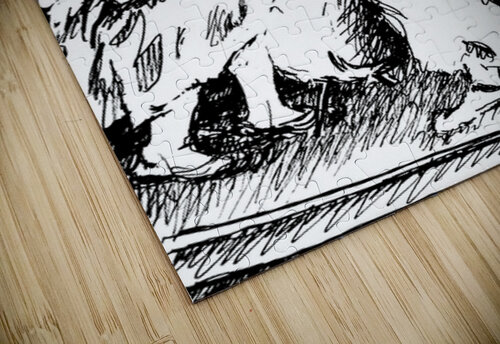 North Valley Symphony Orchestra   PSX 20250308 20 Marc Melis puzzle